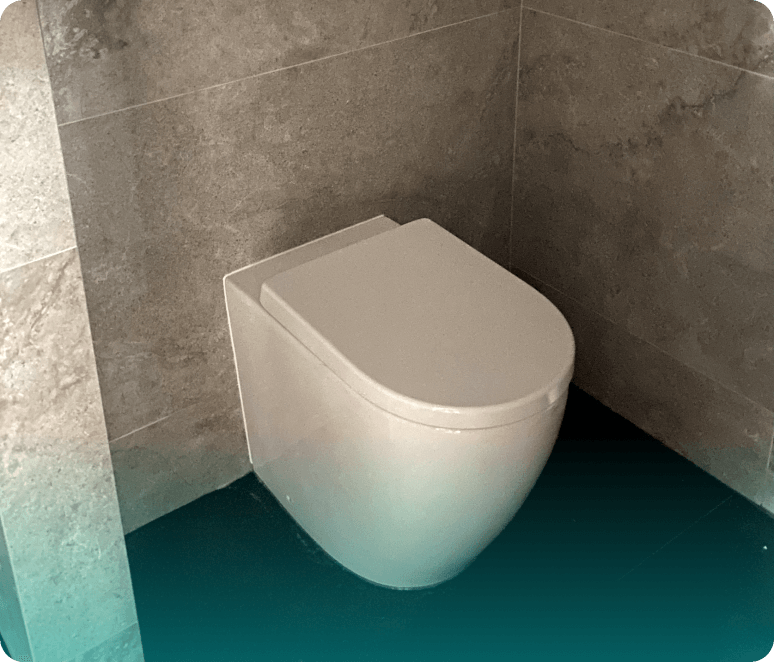 In wall toilet system | Toilet and tap repairs